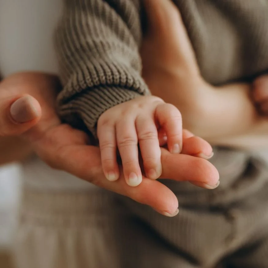 how embryo transfer works, embryo transfer, how to behave after embryo transfer