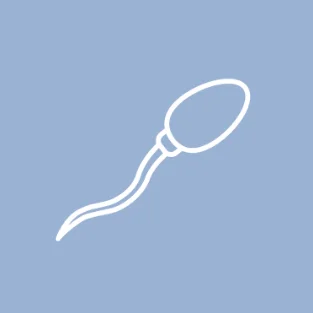 egg freezing, fertility, egg count, egg quality, female fertility, freezing and storage, fertility preservation, sperm freezing