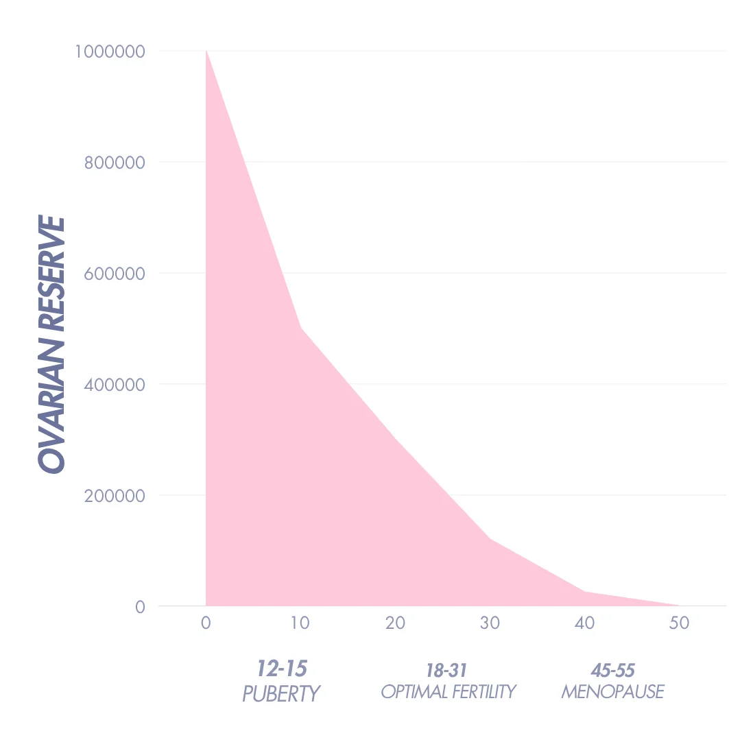 ovarian reserve, egg count, age and fertility, woman's fertility, AMH, fertility, women's health
